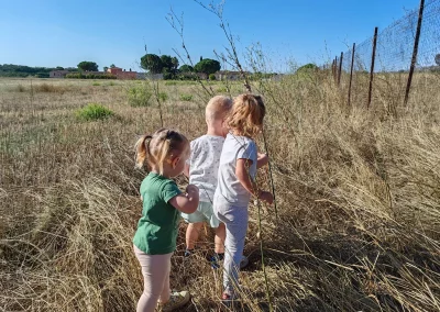 Promenade extérieure en pleine nature avec la MAM